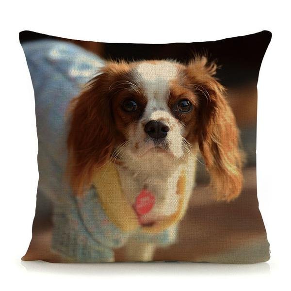 cavalier-king-charles-spaniel-cushion-covers-selection-b-15.jpg