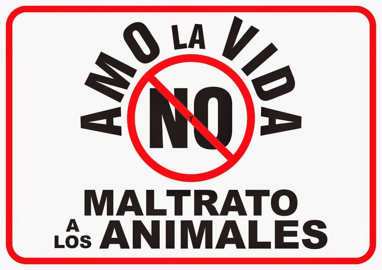 No-al-maltrato-animal.jpg