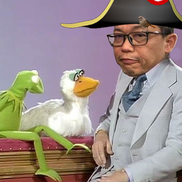 orchi-muppet.jpg