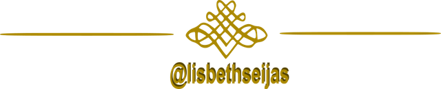 divisor-web-lisbeth.png