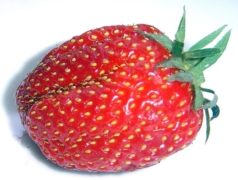 Strawberry_gariguette_DSC03063.JPG