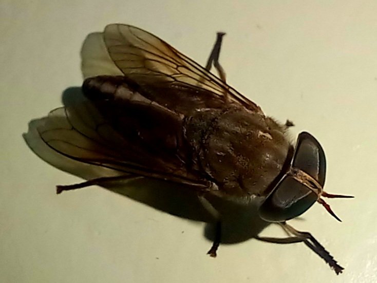 20241017_152749.jpg