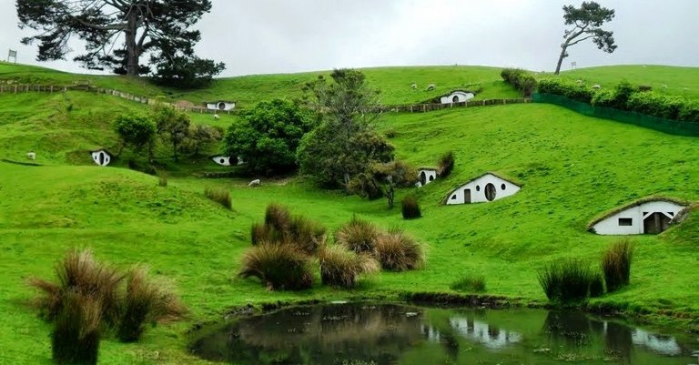 Hobbit-Houses-in-New-Zealand.jpg