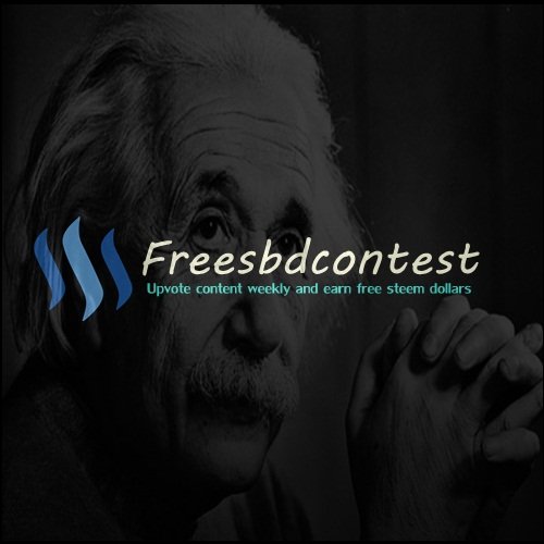 Freesbdcontestlogo#01.jpg