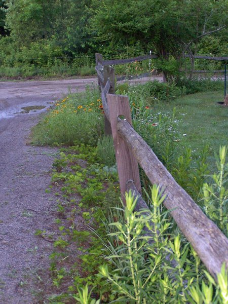 Fixing fence6 crop June 2018.jpg