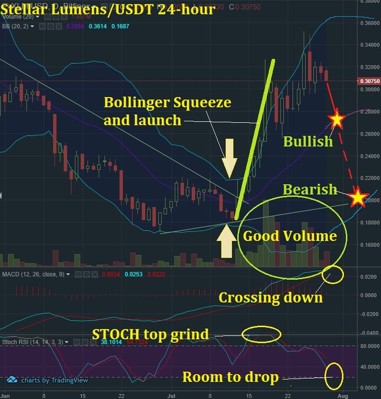 July 29 XLM T&A.jpg