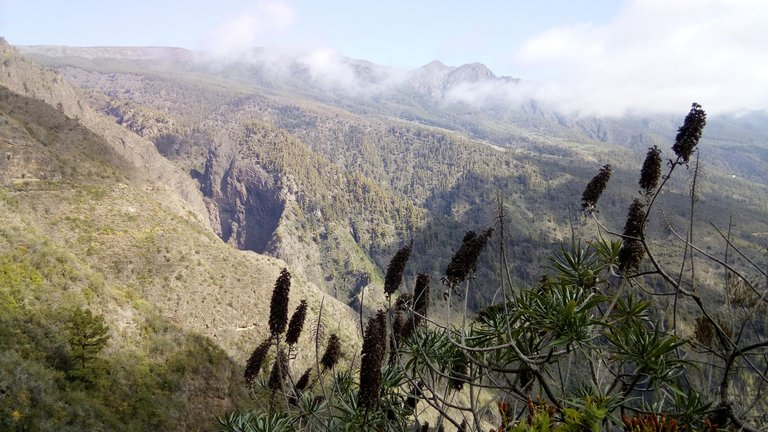 Trekking trasa Las Ventanas de Güímar (11).jpg