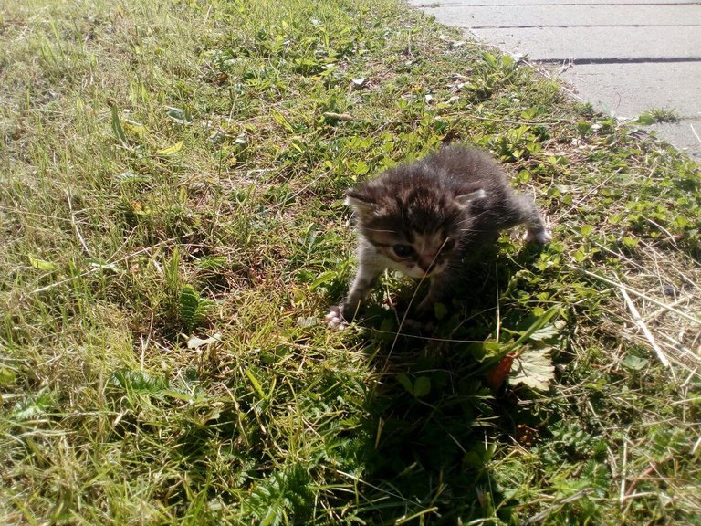 photo_2018-06-28_01-38-48.jpg