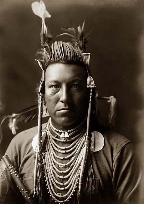 Swallow_Bird-_Crow_Indian-_Edward_S._Curtis.jpg