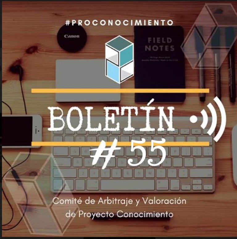 boletin55.jpg