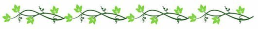 divider green vine.png