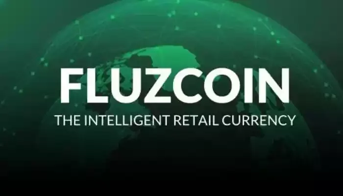 fluzcoin-700x400.jpg