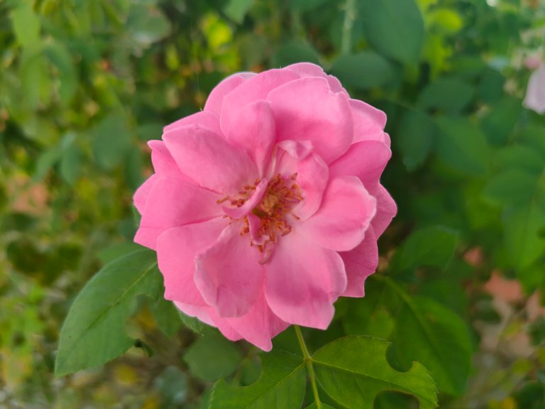 IMG20240915092345.jpg