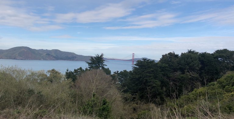 golden gate bridge in the distance