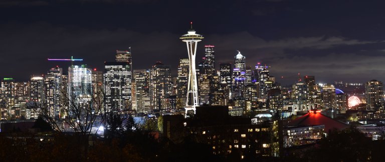 seattlepano4.jpg