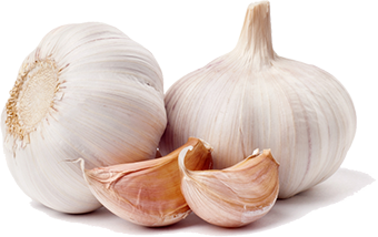 -garlic.png