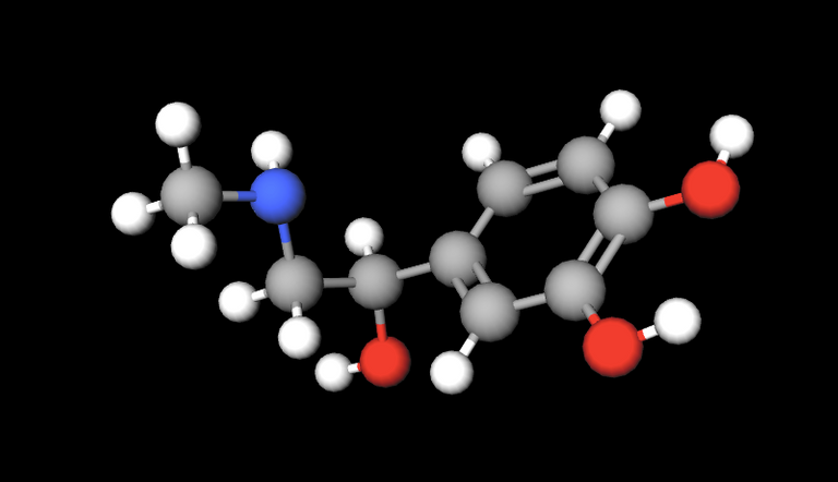 Picture Molecule Adrenaline 800 460.png