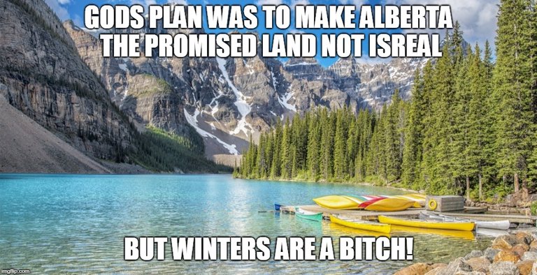 alberta.jpg