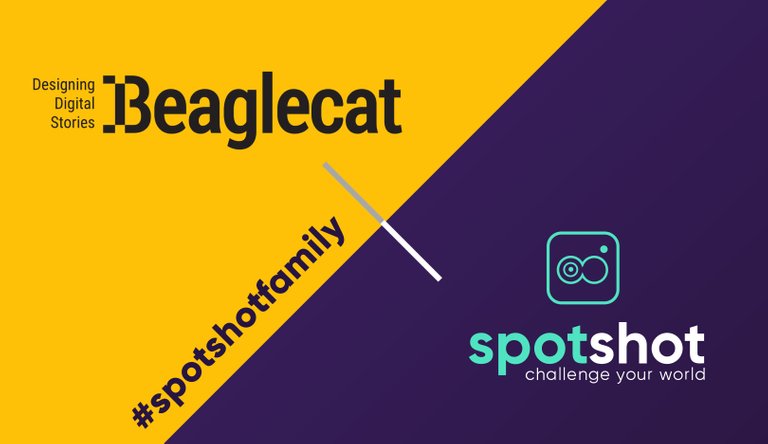 Spotshot- Partnership Beaglecat.jpg