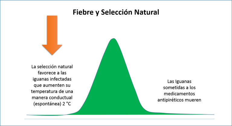 fiebre y seleccion.png