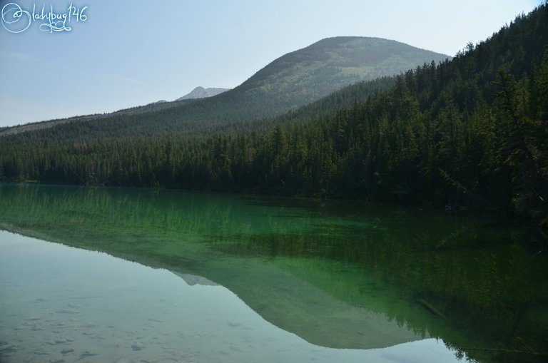 jasper national park3.jpg