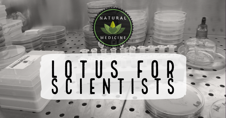 Lotus Coin for Scientists Promotion 2.png