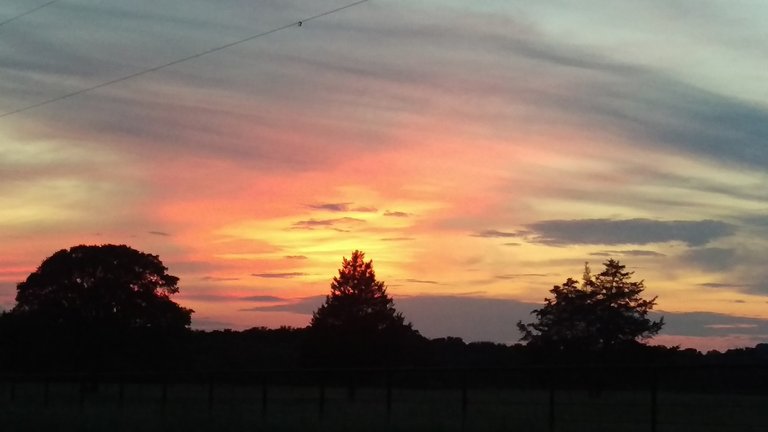Texas_sky_sunset_cameraphone_3.jpg
