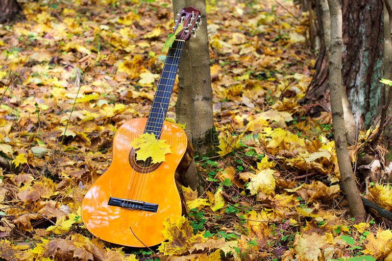 music-guitar-autumn-leaves-forest-background-21536011.jpg