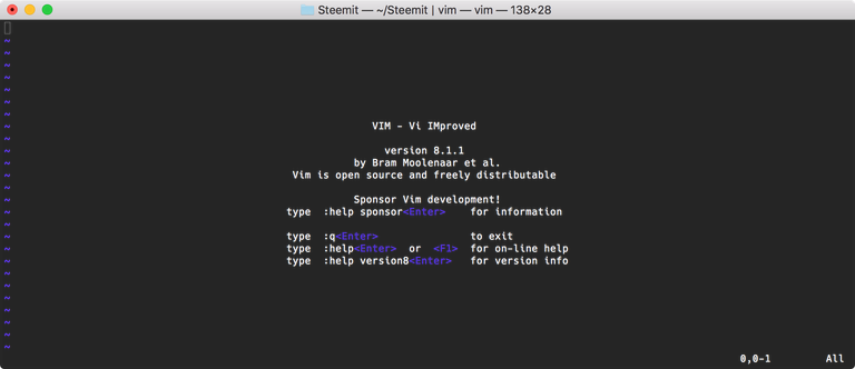 Vim.png