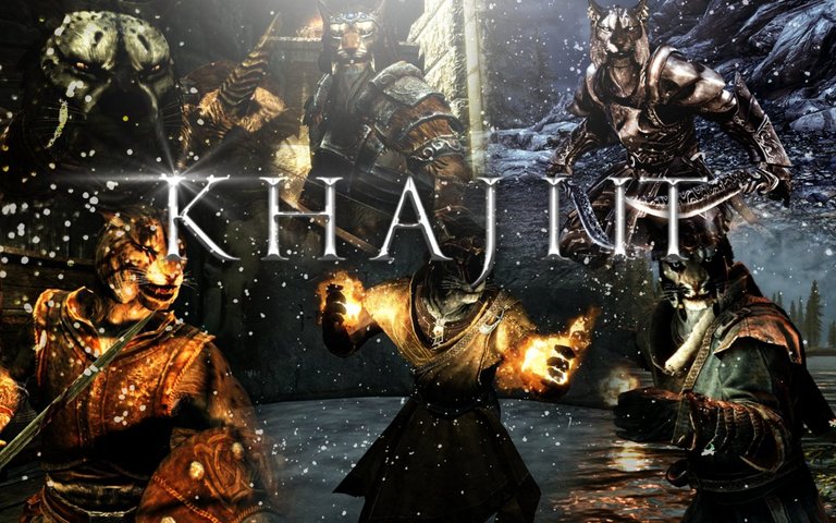 skyrim___khajiit_by_xtiiger-d4iq864.jpg