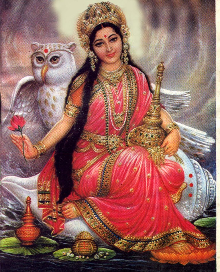 laxmi-owl1.jpg