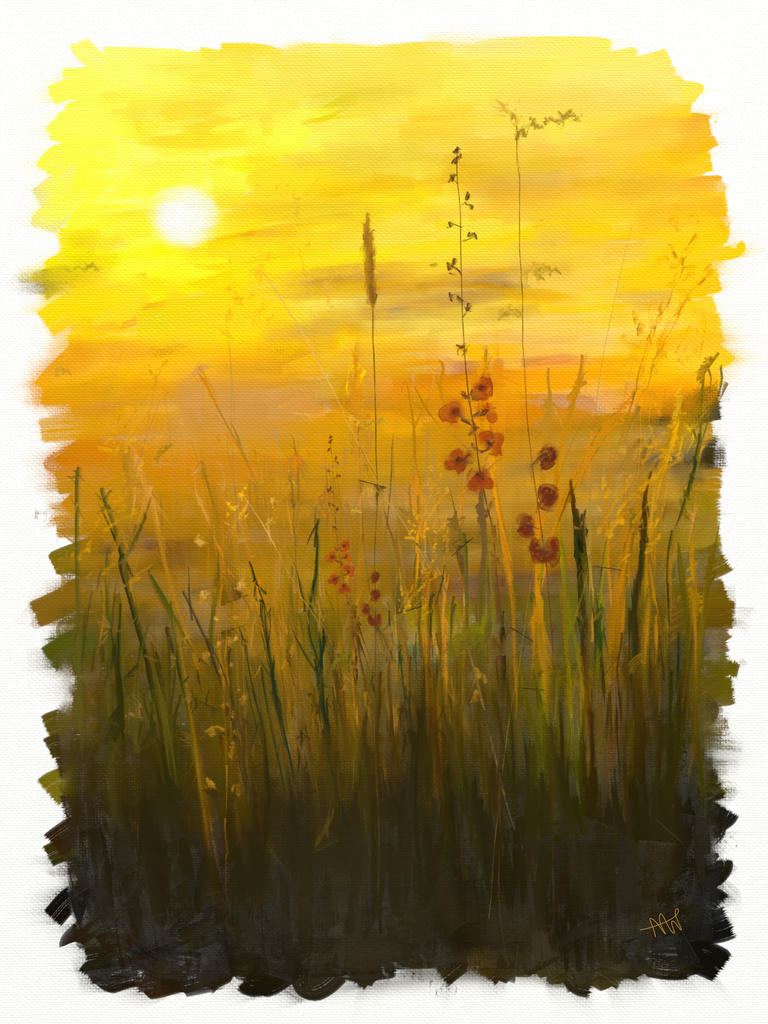 Sunsetfield_001_003v2.png