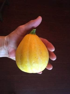 Lemon Squash.jpg