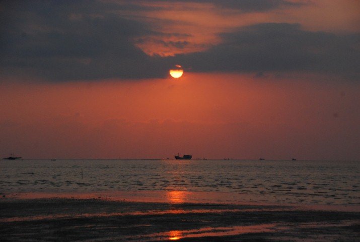 DSC_0241.JPG