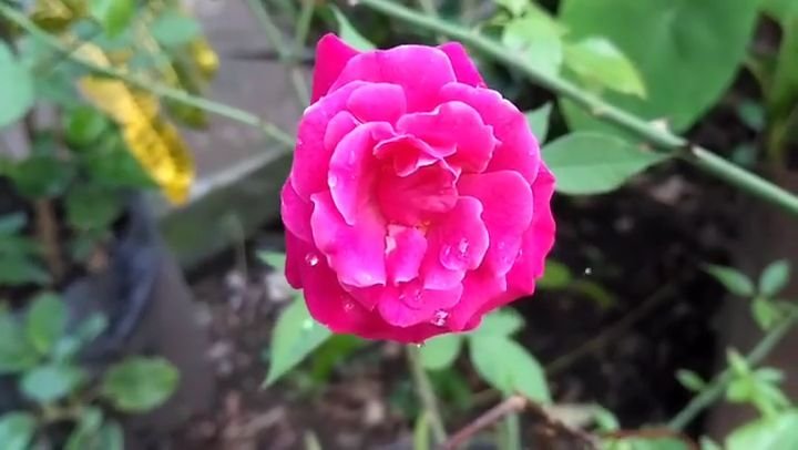 VideoCapture_20190811-165454.jpg