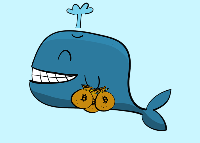 cryptowhale1.png
