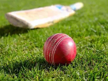 cricket-generic-afp_625x300_1530595771962.webp