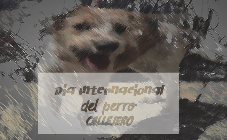 banner perro 3.jpg