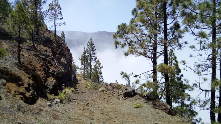 Trekking trasa Las Ventanas de Güímar (49).jpg