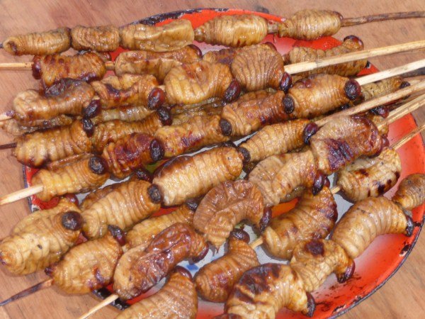 Uok-or-Coconut-Worm-.jpg