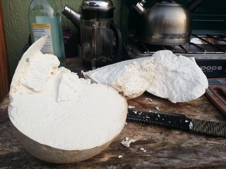 giant_puffball_chopped.jpg