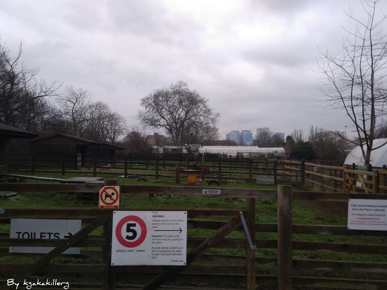 kgakakillerg original content A Trip To Stepney City Farm| Walk Around Stepney City Farm January 2025 part 1 💯 Original Content  