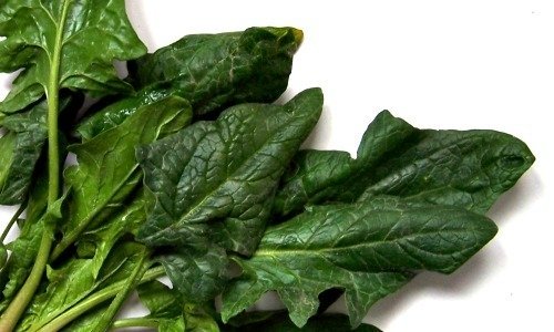 xspinach-juice-1.jpg.pagespeed.ic.aeCp2JWBsb.jpg