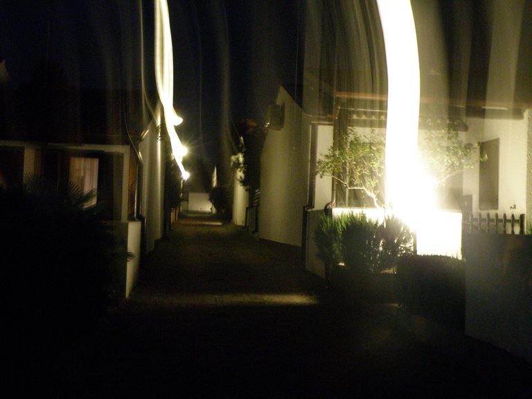 P1010336.JPG