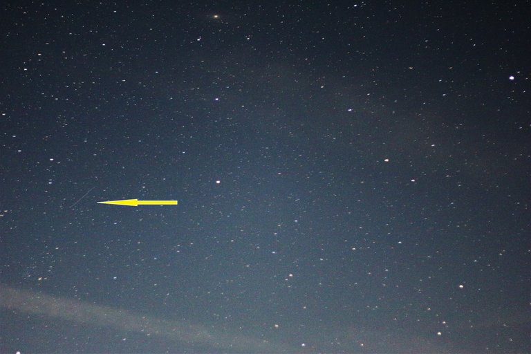 perseid meteor2.jpg