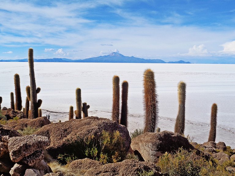 the-salar-de-uyuni-2168218_1280.jpg