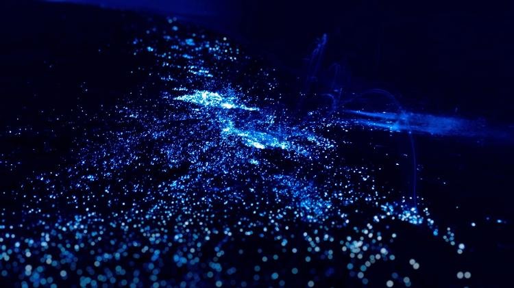 fenomeno-de-bioluminescencia-na-praia-1566313976771_v2_750x421.jpg