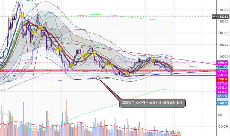 비트1 삼각수렴중 지지받음.png