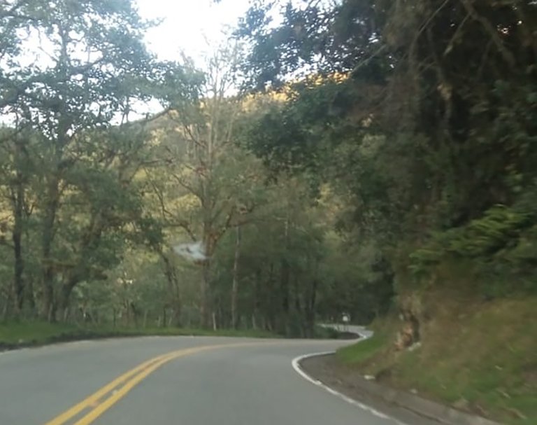 carretera.jpg