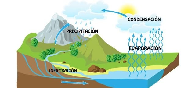 El ciclo del agua.jpg